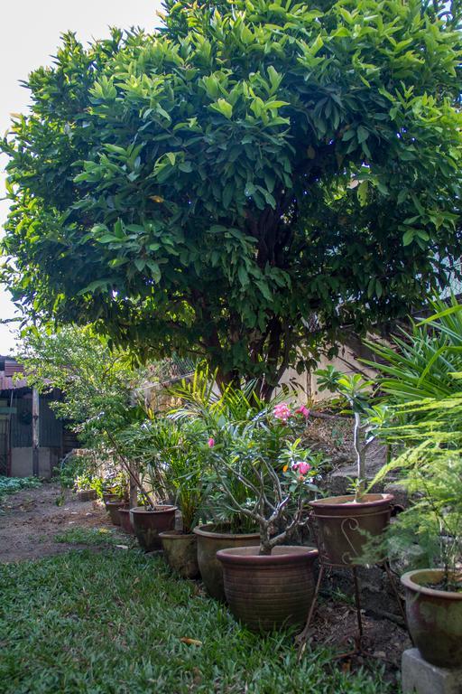 Cozy Mount Erskine Homestay George Town Zewnętrze zdjęcie